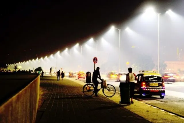 Masa Depan Udah di Depan Mata. Ilmuwan Baru Ciptakan Tanaman Bercahaya Pengganti Lampu Nih! 18