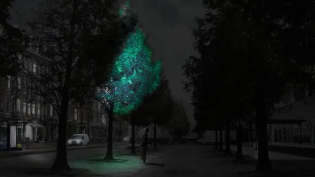 Masa Depan Udah di Depan Mata. Ilmuwan Baru Ciptakan Tanaman Bercahaya Pengganti Lampu Nih! 17