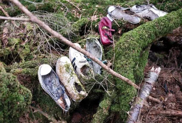 Lihat Lebih Dekat Hutan Aokigahara. Hutan yang Terkenal di Seluruh Jepang untuk Melakukan Bunuh Diri 6
