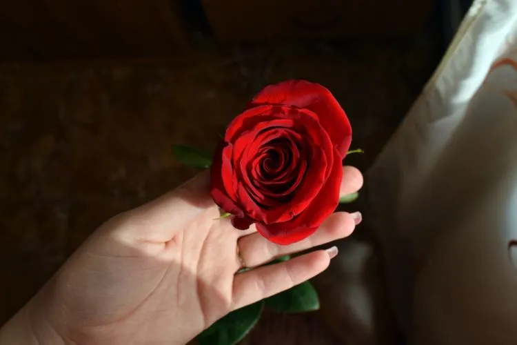 6 Keuntungan Kamu yang Berprinsip Punya Satu Pacar Untuk Seumur Hidup dan Menikah 8