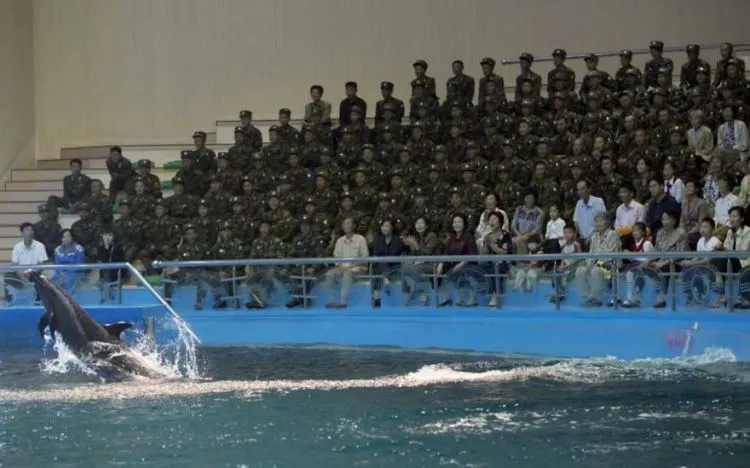 10 Foto Ilegal dari Korea Utara yang Terlarang Dilihat oleh Dunia Luar. Kira-kira Kenapa ya? 18