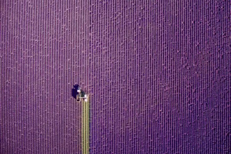 12 Foto Drone Terbaik di Tahun 2017. Referensi Buat Kamu yang Pengen Jago Pake Drone! 13