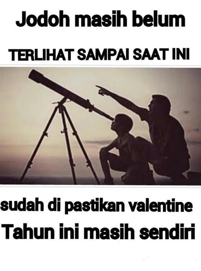 Cara Menertawakan Diri Sendiri di Hari Valentine Lewat 17+ Meme Kocak Ini. Udah Kesindir Belum Nih? 21