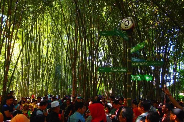 Sensasi Akad & Resepsi di Tengah Kebun Bambu, Terasa Sekali Nuansa Alaminya yang Tradisional dan Guyub 12