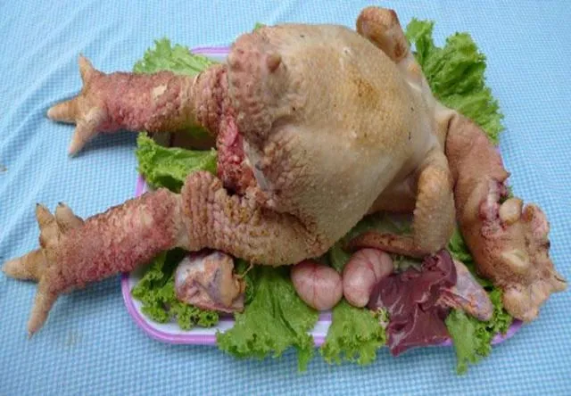 Cakar Super Tebalnya Jadi Incaran, Ayam 'Dong Tao' Asal Vietnam Ini Harganya 300-an Juta Sepasang 25