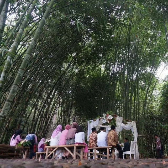 Sensasi Akad & Resepsi di Tengah Kebun Bambu, Terasa Sekali Nuansa Alaminya yang Tradisional dan Guyub 16