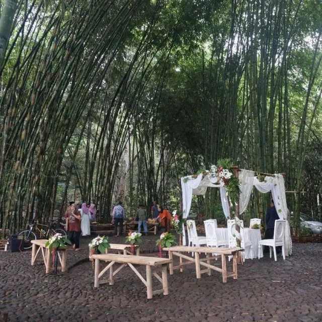 Sensasi Akad & Resepsi di Tengah Kebun Bambu, Terasa Sekali Nuansa Alaminya yang Tradisional dan Guyub 13