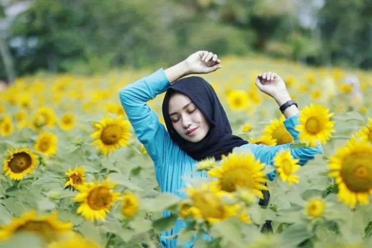 Taman Dewari, Kebun Bunga Matahari yang Lagi Hits di Magelang! Cocok Buat Liburan Akhir Pekan 5