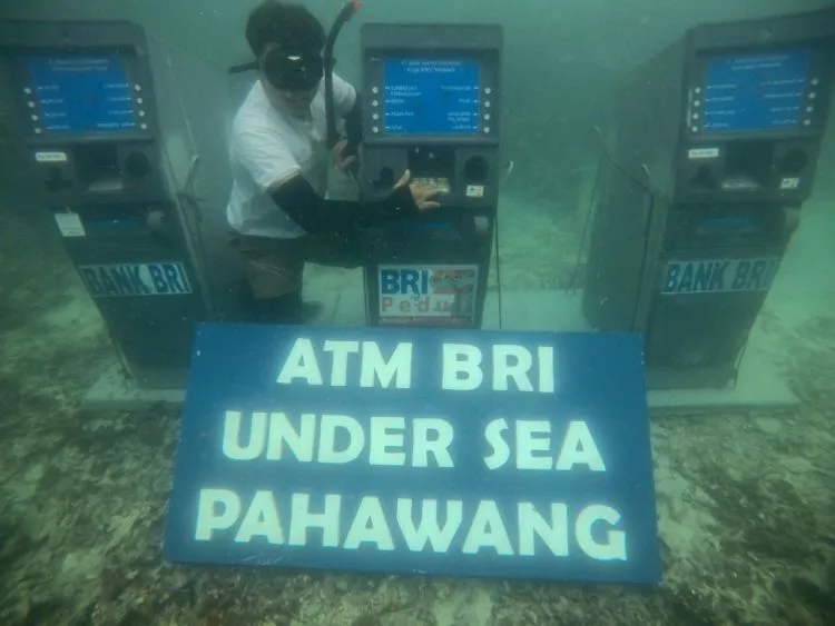 Wow, Ada ATM di Bawah Laut Pulau Pahawang. Dapet Rekor MURI Tapi Dianggap Merusak Lingkungan! 4