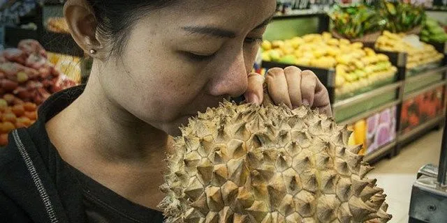 7 Cara Memilih Durian yang Bagus dan Manis 8 cara memilih durian yang bagus