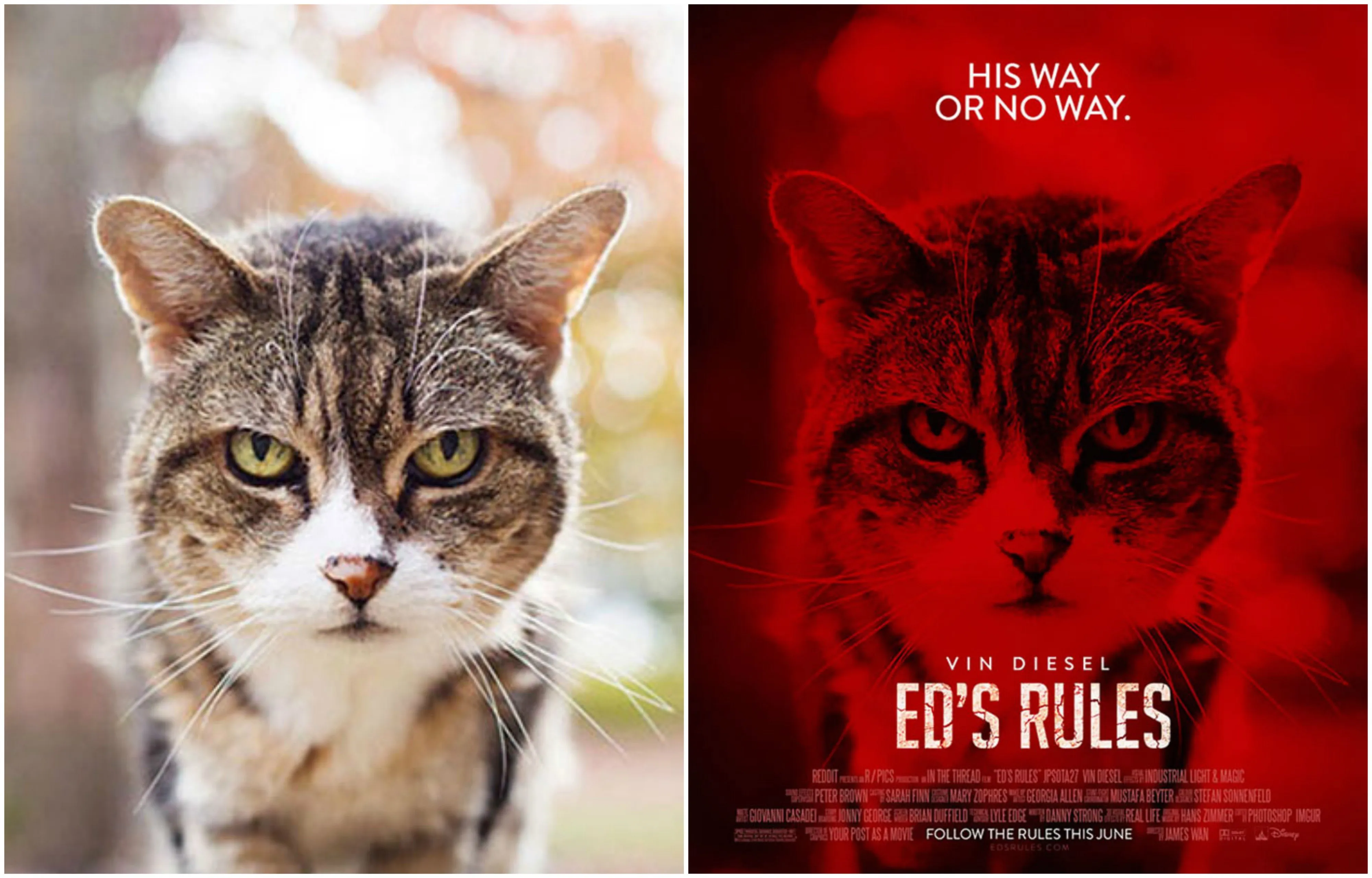 15 Poster Film Keren Ini Ternyata Hasil Photoshop dari Foto yang Biasa Saja lho. Jago Banget yang Ngedit 16
