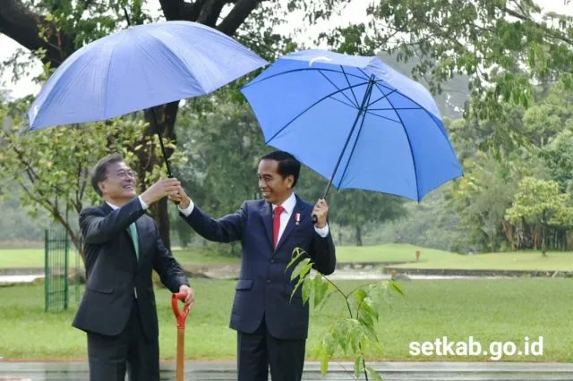 Menilai Seberapa Siap Kamu Punya Pasangan Dilihat dari Tempat Berteduh Pilihanmu. Jadi, Kapan Nih? 10