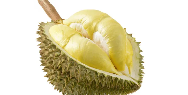 7 Cara Memilih Durian yang Bagus dan Manis 14 cara memilih durian yang manis