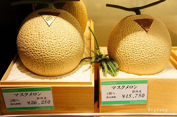 8 Fakta Unik Jepang yang Nggak Banyak Orang Tahu. Penting Buat Kamu yang Mau ke Sana! 13