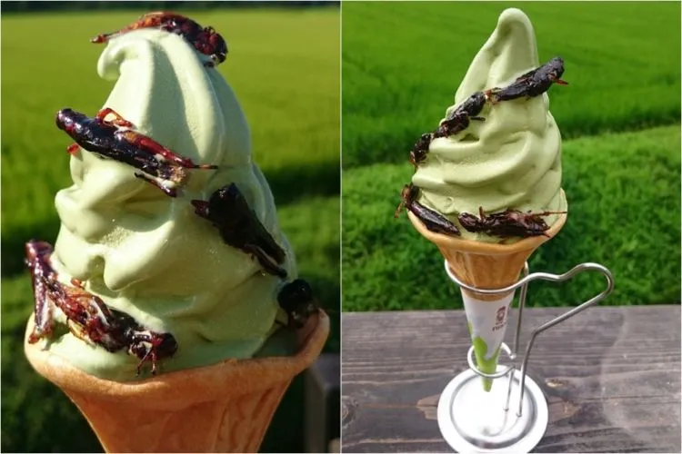 10 Varian Rasa Es Krim Paling Aneh di Dunia. Yakin Kamu Berani Nyobain? 11