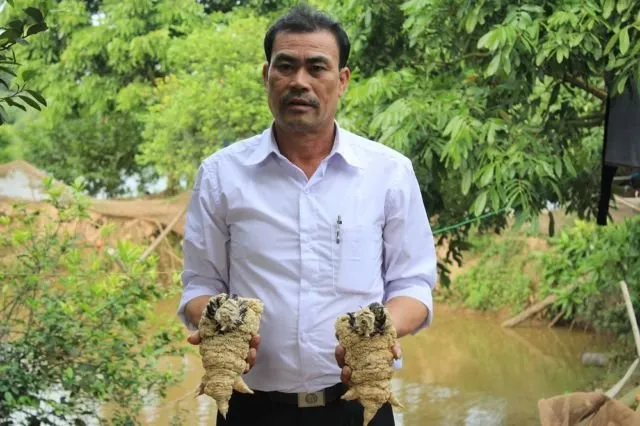 Cakar Super Tebalnya Jadi Incaran, Ayam 'Dong Tao' Asal Vietnam Ini Harganya 300-an Juta Sepasang 23