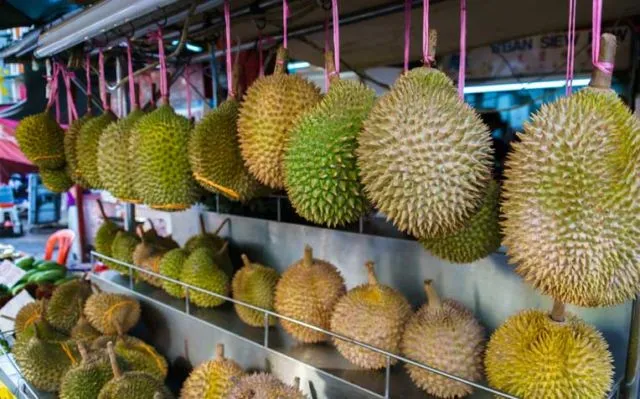 7 Cara Memilih Durian yang Bagus dan Manis 9