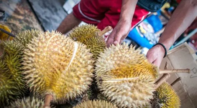 7 Cara Memilih Durian yang Bagus dan Manis 12