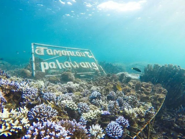 Wow, Ada ATM di Bawah Laut Pulau Pahawang. Dapet Rekor MURI Tapi Dianggap Merusak Lingkungan! 5