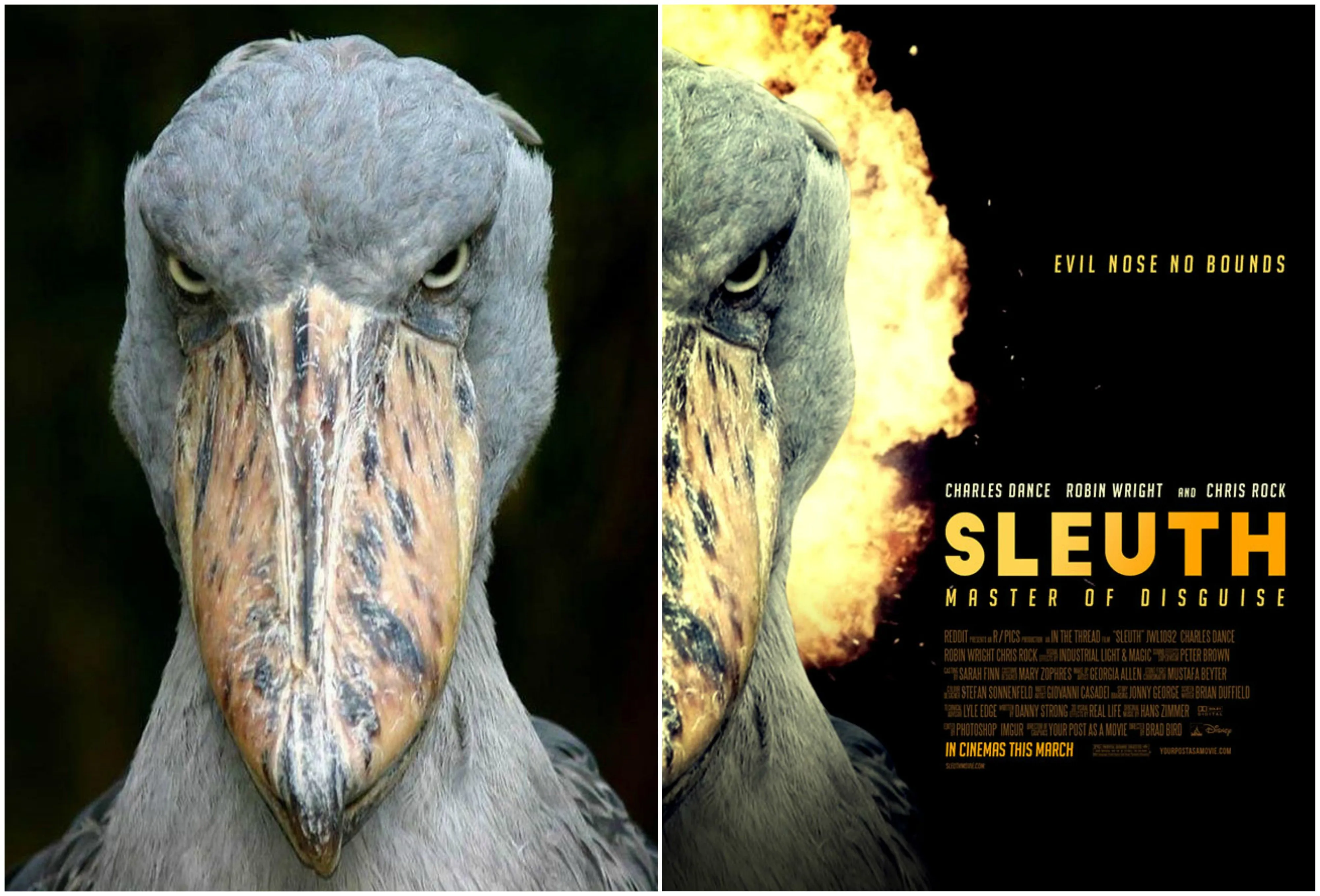15 Poster Film Keren Ini Ternyata Hasil Photoshop dari Foto yang Biasa Saja lho. Jago Banget yang Ngedit 18