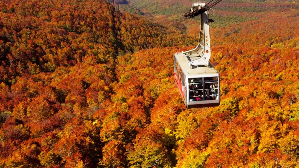 5 Destinasi Wisata Khas Anak Milenial Ini Diprediksi Hits Beberapa Tahun Mendatang. Jangan Ketinggalan! 11