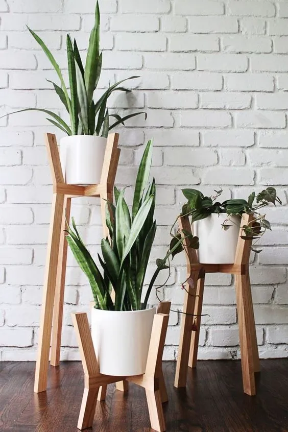 15 Trik Menata Tanaman Hias Indoor, Bikin Betah Kayak di Kafe Kekinian 21 menata tanaman hias indoor