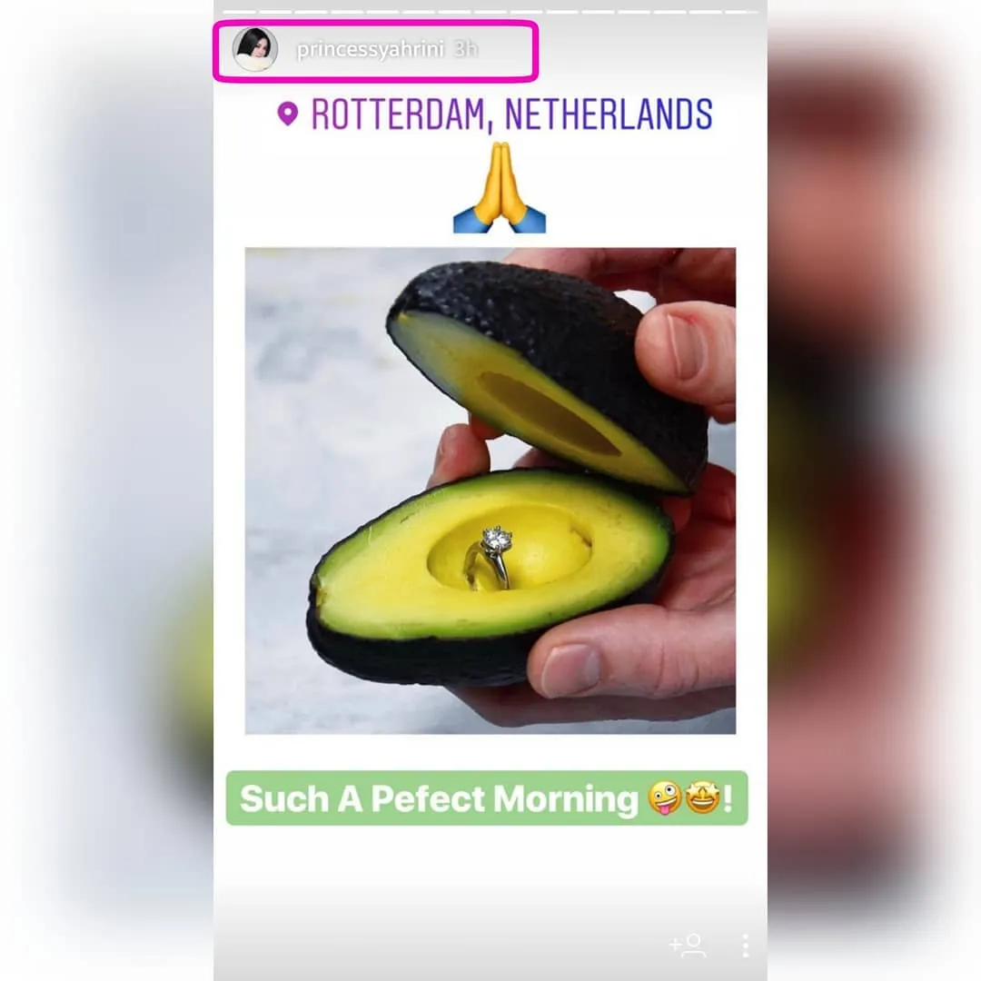 Betapa Mudahnya Warganet Tersulut Emosi dengan Unggahan Syahrini. Padahal Niatnya Bercanda Lho 3