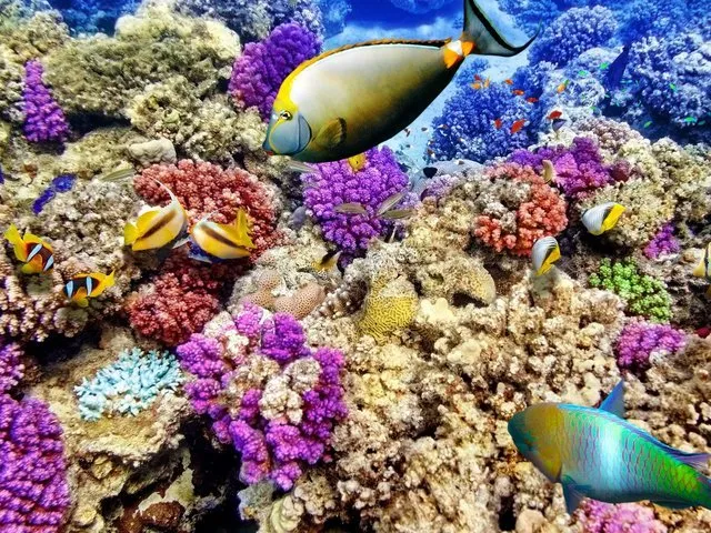 Ini 10 Destinasi Wisata Dunia yang Harus Kamu Kunjungi Sebelum Lenyap dari Muka Bumi! 20