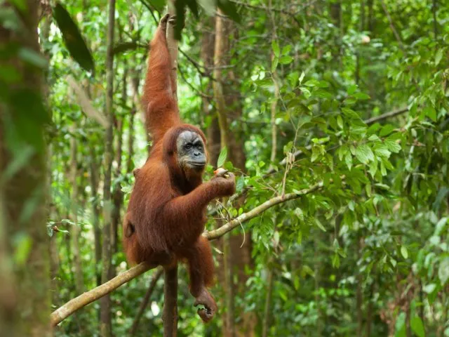 Ini 10 Destinasi Wisata Dunia yang Harus Kamu Kunjungi Sebelum Lenyap dari Muka Bumi! 13