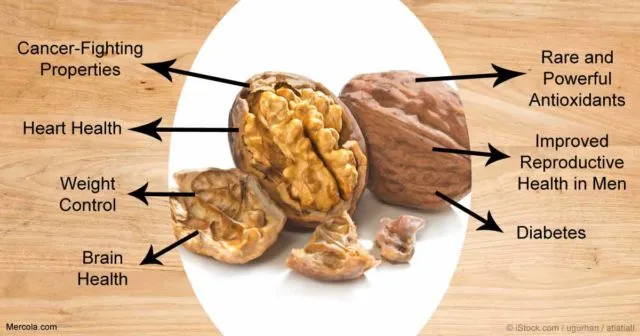 10 Makanan untuk Mencegah Rambut Rontok. Perawatan dari Dalam Juga dong! 15 makanan untuk rambut rontok