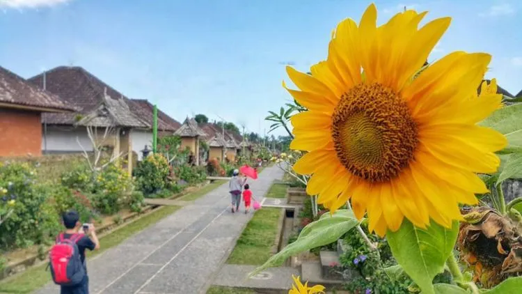 Libur Lebaran Mau ke Mana? Yuk ke Desa Panglipuran, Desa yang Paling Bersih di Dunia! 5