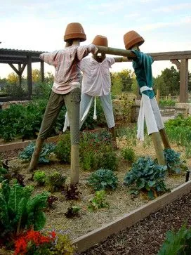14 Potret Orang-Orangan Sawah Anti Mainstream. Bahkan Udah Ada Lho yang Bentuknya Robot Serigala 20