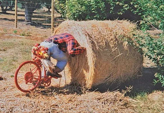 14 Potret Orang-Orangan Sawah Anti Mainstream. Bahkan Udah Ada Lho yang Bentuknya Robot Serigala 23