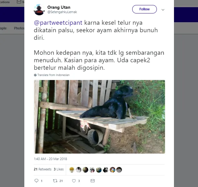 Telur Palsu Kembali Viral, 12 Tanggapan Warganet ini Malah Bikin Ngakak. Sudahlah, itu Cuma Hoaks Lho~ 20
