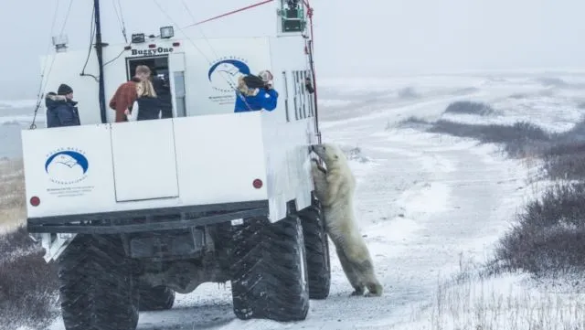 12+ Cara Google Street View Kumpulkan Data Peta dari Seluruh Dunia. Totalitasnya Gila Banget! 27