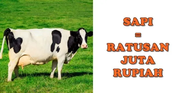 KPK Ungkap 10+ Kode Rahasia yang Sering Dipakai Koruptor. Anehnya Sering Pakai Nama Buah 15