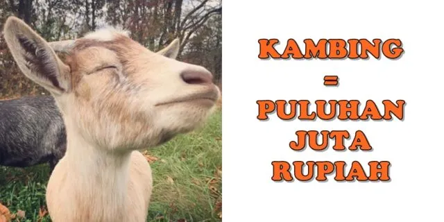 KPK Ungkap 10+ Kode Rahasia yang Sering Dipakai Koruptor. Anehnya Sering Pakai Nama Buah 16