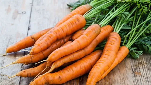 10 Makanan untuk Mencegah Rambut Rontok. Perawatan dari Dalam Juga dong! 12 makanan untuk rambut rontok