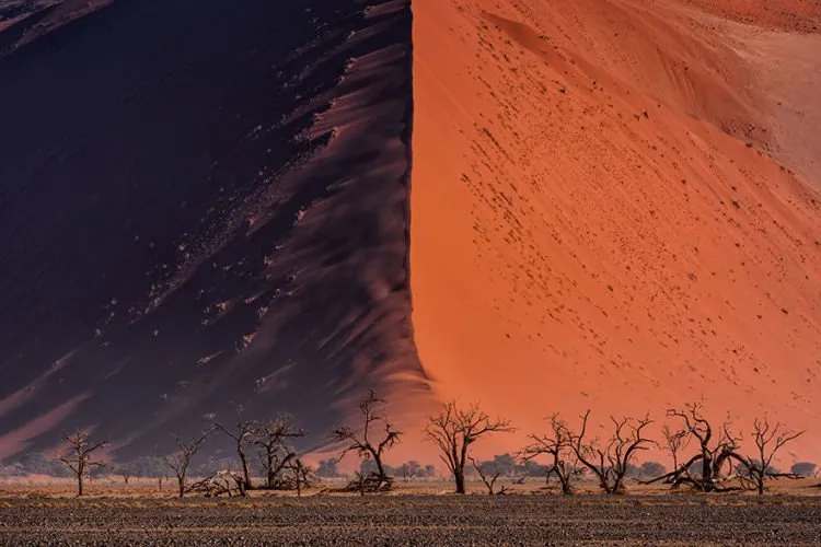 Nih Daftar Pemenang Kompetisi Foto Sony Photography Awards 2018. Simak Karya Terbaik Para Juara! 14