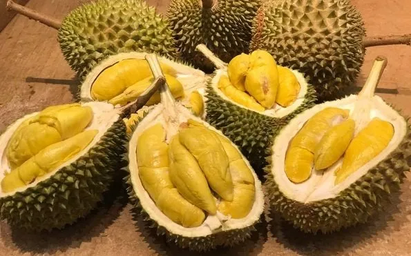 PT KAI Bakal Menggelar Pesta Durian di 3 Stasiun. Kamu Bisa Makan Durian Sepuasnya, Nyam Nyam! 6