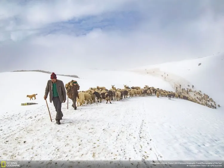 10 Foto Keren dalam Kontes National Geographic Travel Photographer of The Year 2018. Ikutan Kontesnya Yuk! 17