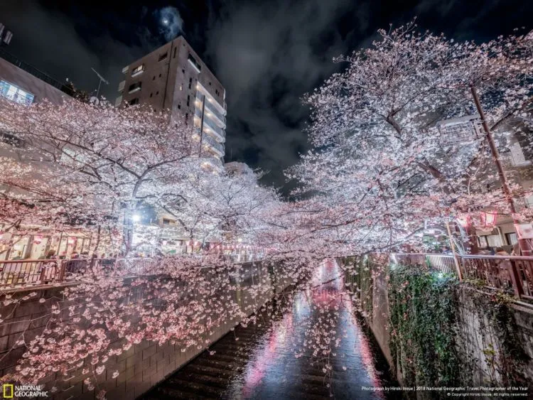 10 Foto Keren dalam Kontes National Geographic Travel Photographer of The Year 2018. Ikutan Kontesnya Yuk! 13
