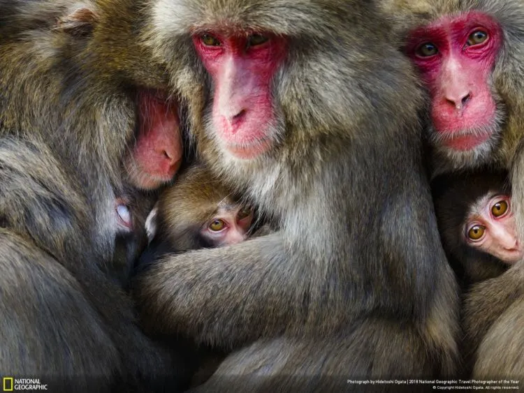 10 Foto Keren dalam Kontes National Geographic Travel Photographer of The Year 2018. Ikutan Kontesnya Yuk! 18
