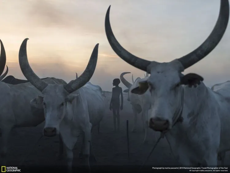 10 Foto Keren dalam Kontes National Geographic Travel Photographer of The Year 2018. Ikutan Kontesnya Yuk! 16