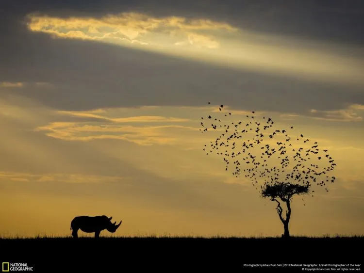 10 Foto Keren dalam Kontes National Geographic Travel Photographer of The Year 2018. Ikutan Kontesnya Yuk! 12