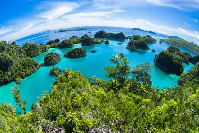 6 Hal yang Kerap Disesali Mereka di Usia Senja, Karena Belum Sempat Melakukannya Saat Muda 7