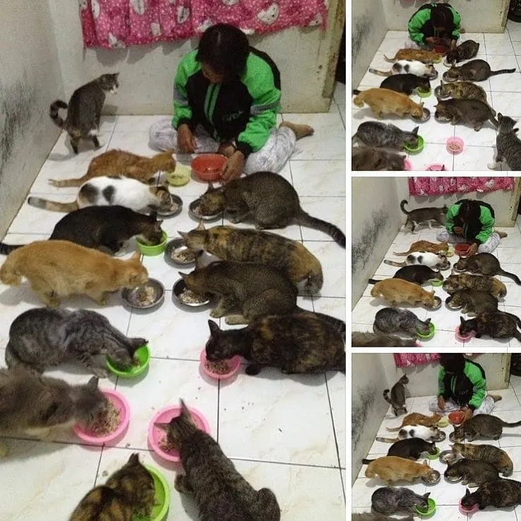 15 Potret Driver Ojol yang Nunjukin Gigihnya Mereka. Masih Belum Bersyukur dengan yang Kamu Punya? 27
