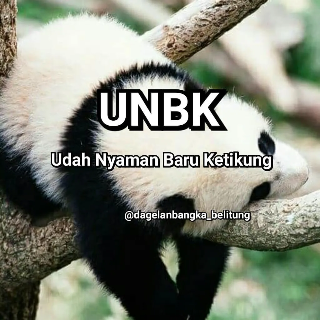 18 Plesetan UNBK yang 'Ngena Banget', Lumayan buat Ngurangin Ketegangan Sebelum Ujian. Lemesin, Say~ 25