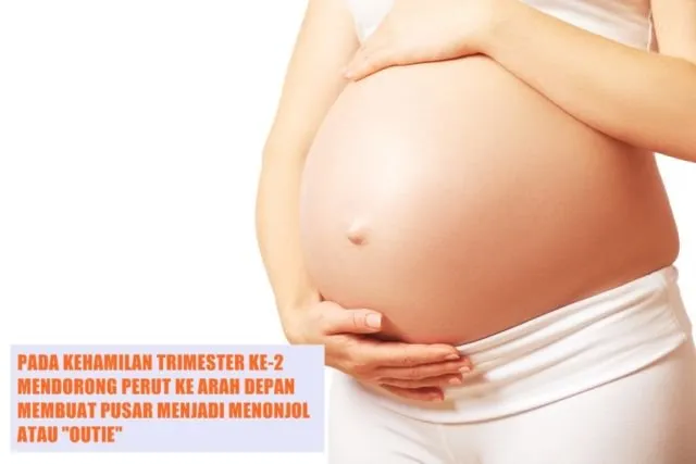 10 Fakta tentang Pusar yang Perlu Kamu Tahu, ternyata Ada juga lho Jenisnya yang Favorit dan Dibenci 13