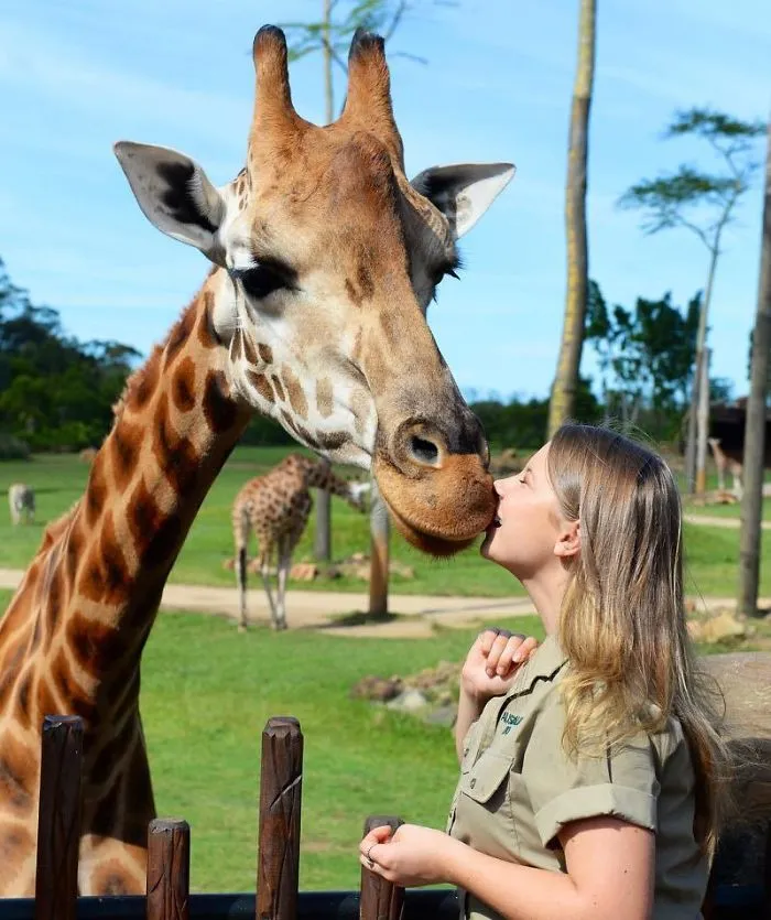 Kenalan sama Bindi Irwin, Yuk! Gadis Cantik Asal Australia yang Akrab Banget dengan Binatang Buas 26